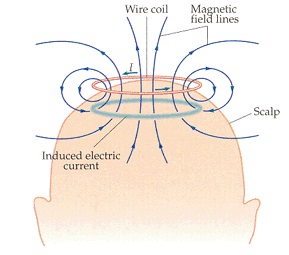 2494_Changing magnetic field.jpg